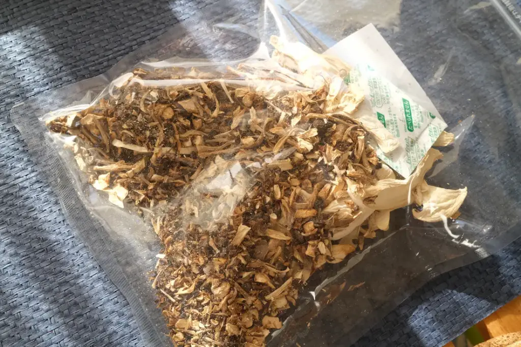 乾燥しているのでキノコはかなり細かい状態です