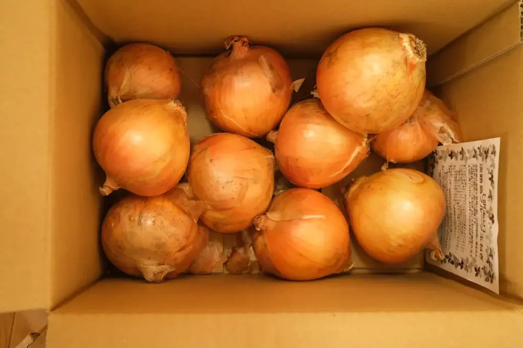 淡路島フルーツ玉ねぎ