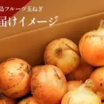 淡路島フルーツ玉ねぎのイメージ